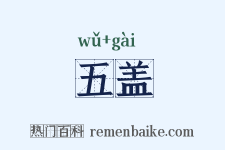 五盖是什么意思的图片